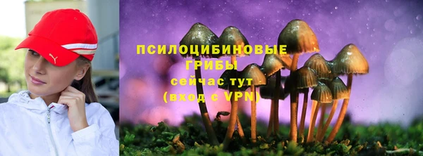PSILOCYBIN Коряжма