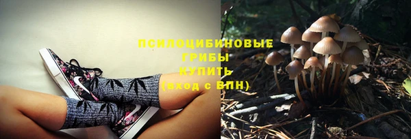 марки nbome Корсаков
