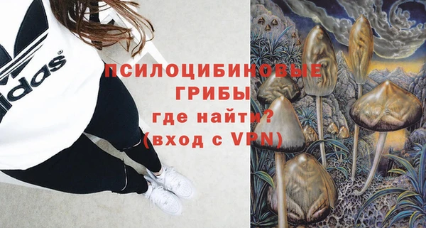 прущий лед Козельск