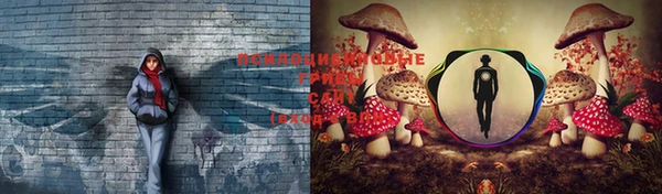 метадон Козловка