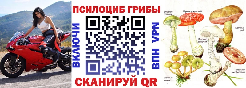 Купить  Еманжелинск  Галлюциногенные грибы мицелий 